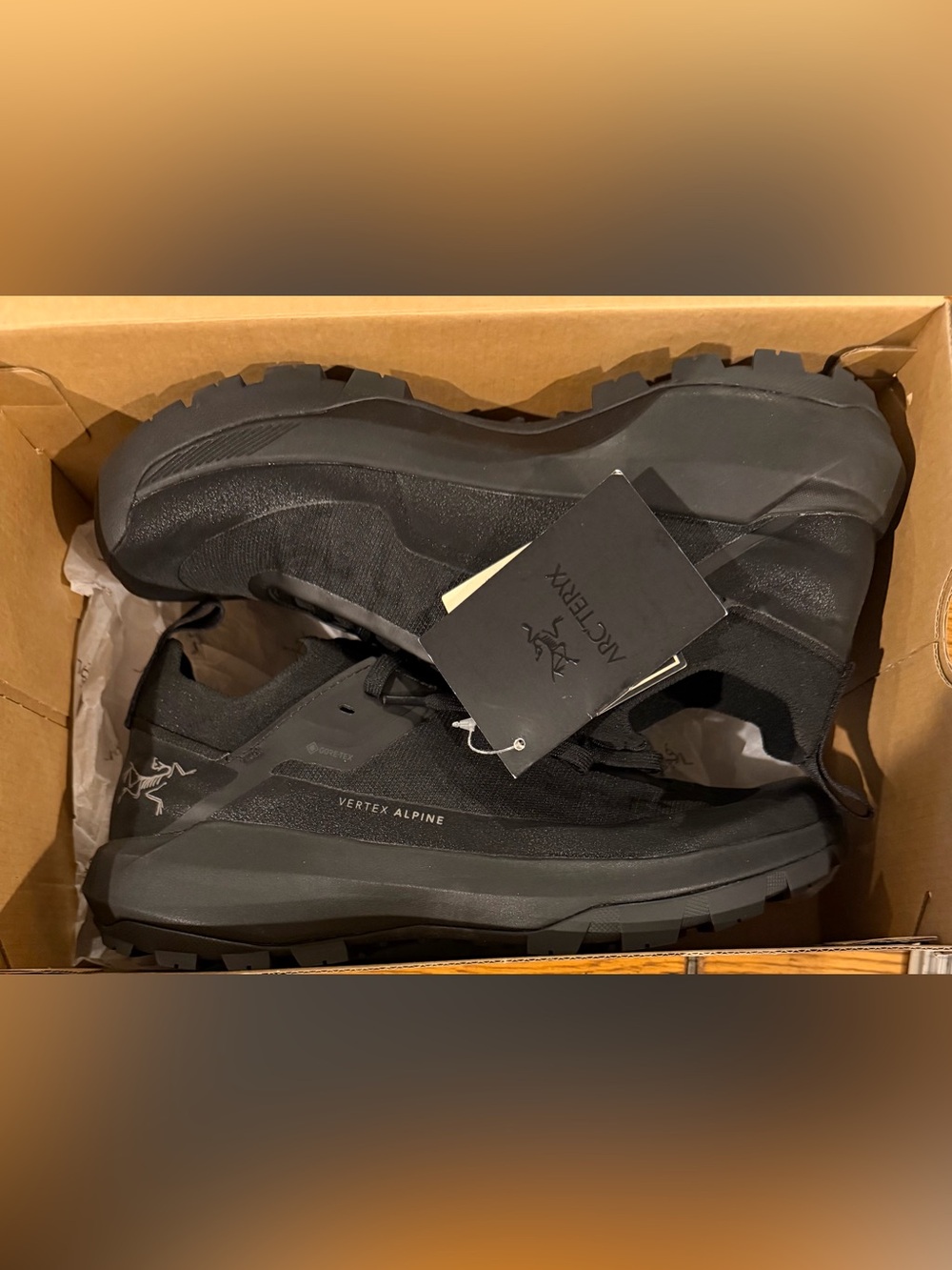NIB Men’s ARC’TERYX Vertex Alpine GTX, black shoes, size 9, outdoor/hiking